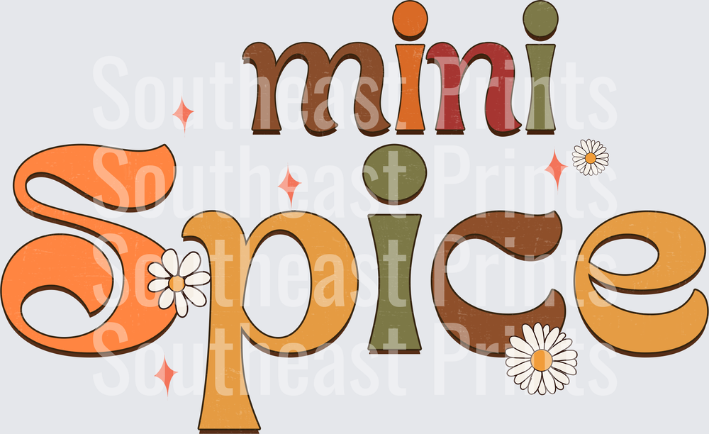 Mini Spice Retro