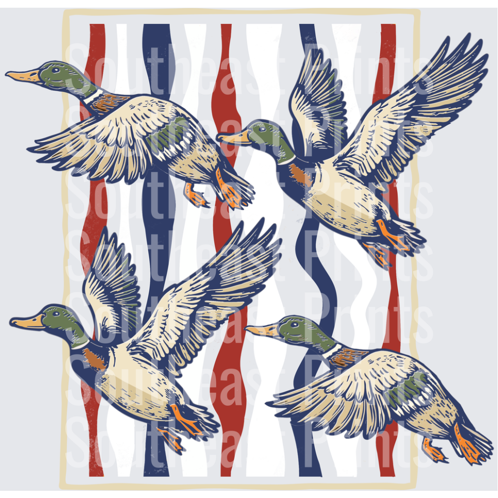 Mallard Ducks Flying