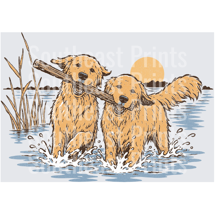 Two Golden Retrievers Sharing Stick in Water at Sunset