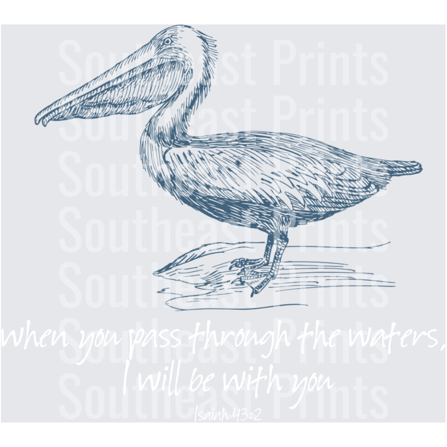 Pelican Sketch Art