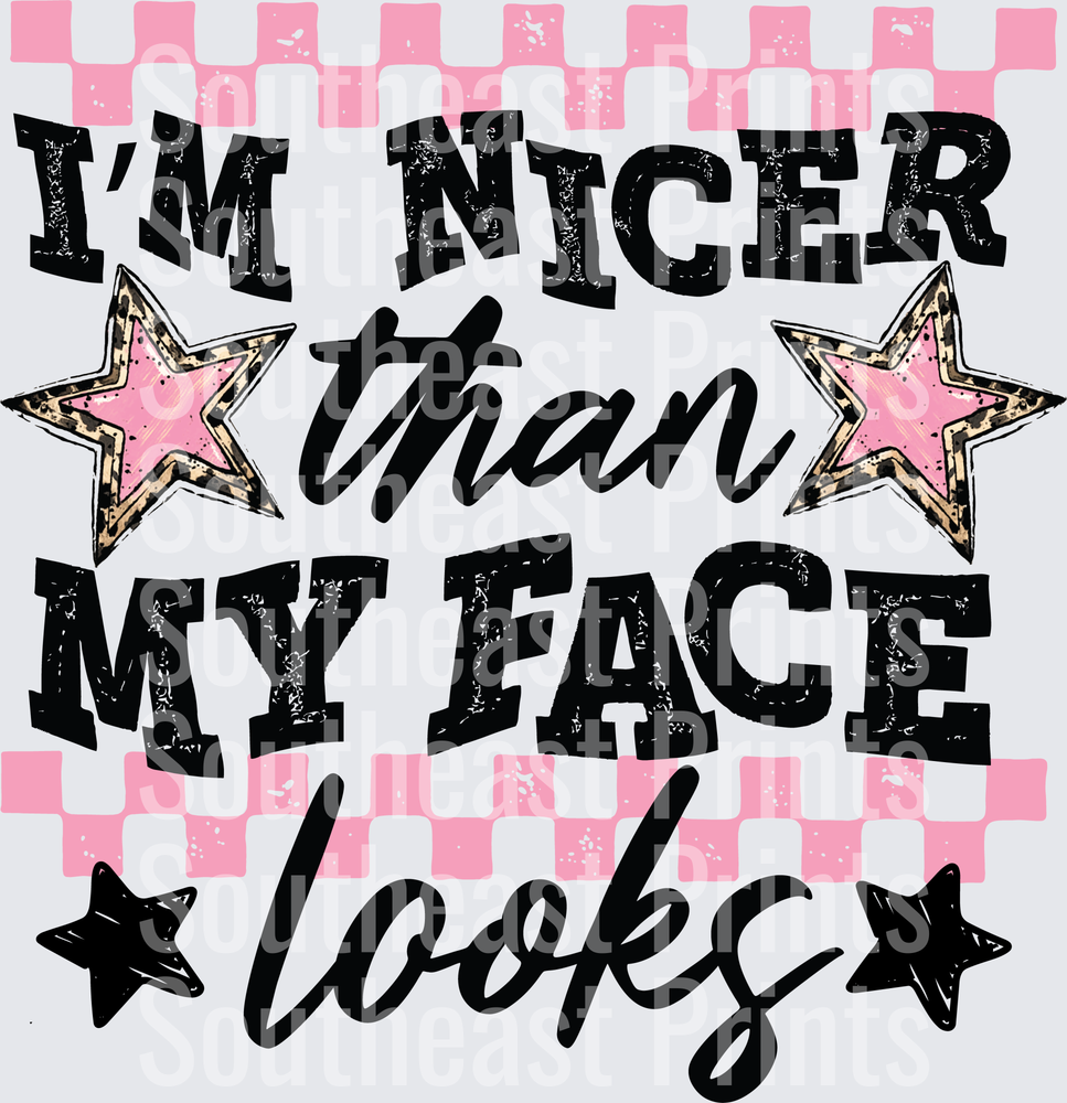 I'm Nicer Than My Face Looks