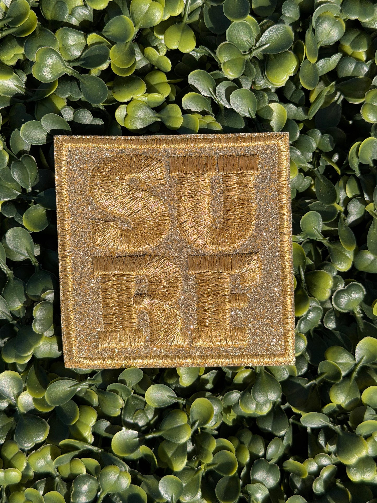 SURF Western Patch