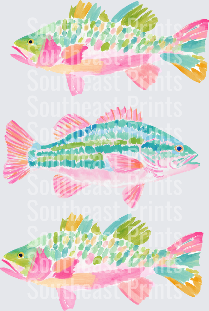 Colorful Watercolor Bass