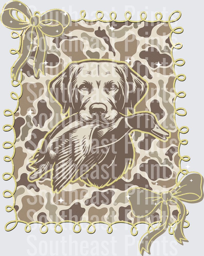 Labrador Retriever Dog