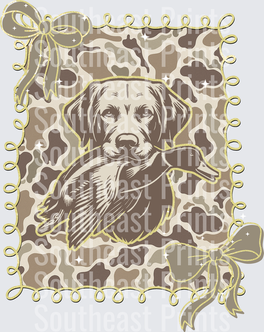 Labrador Retriever Dog