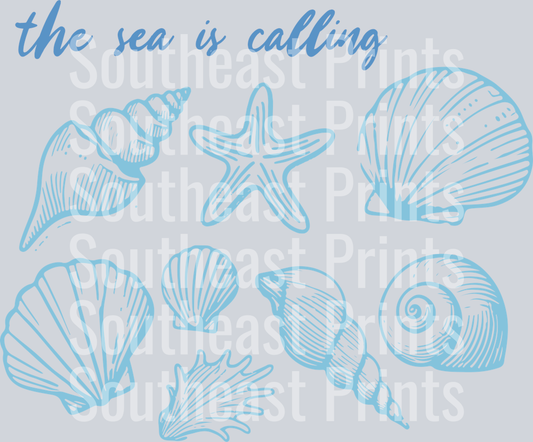 Summer Shells