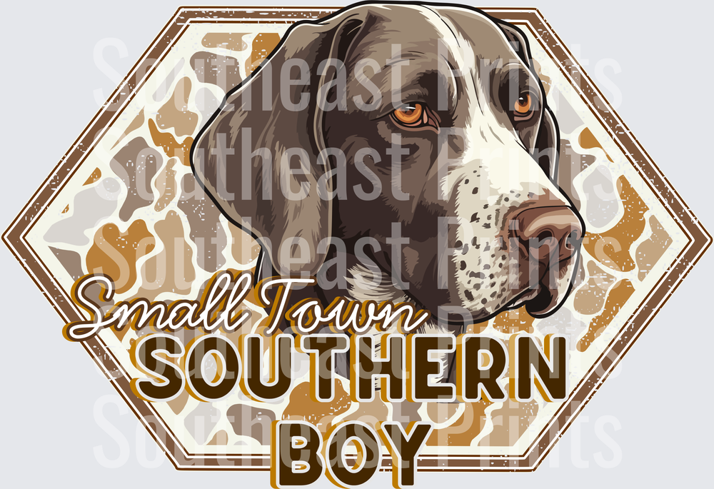 German Shorthaired Southern Boy