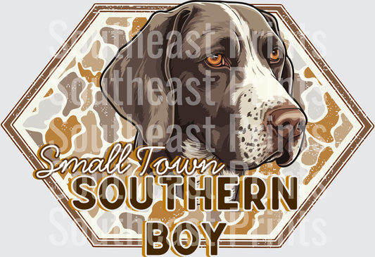 German Shorthaired Southern Boy
