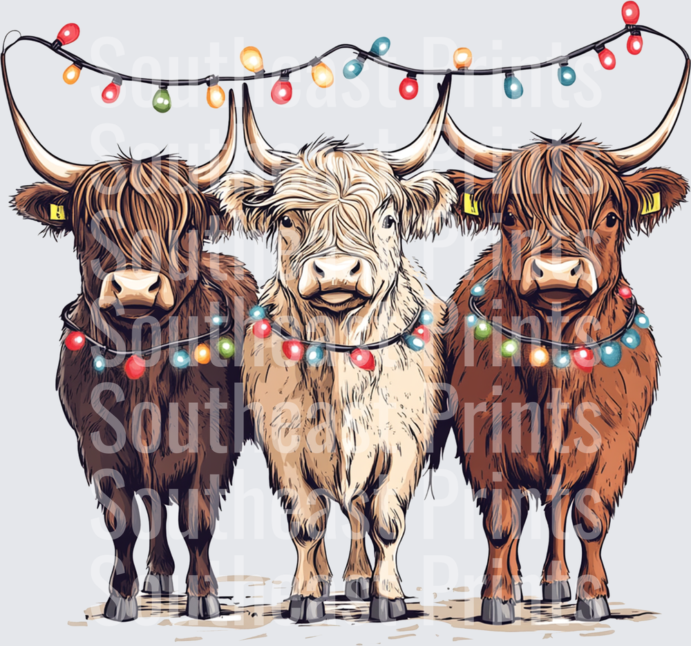 Highland Cattle Christmas