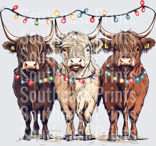Highland Cattle Christmas