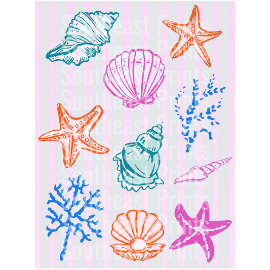 Colorful Ocean Seashells