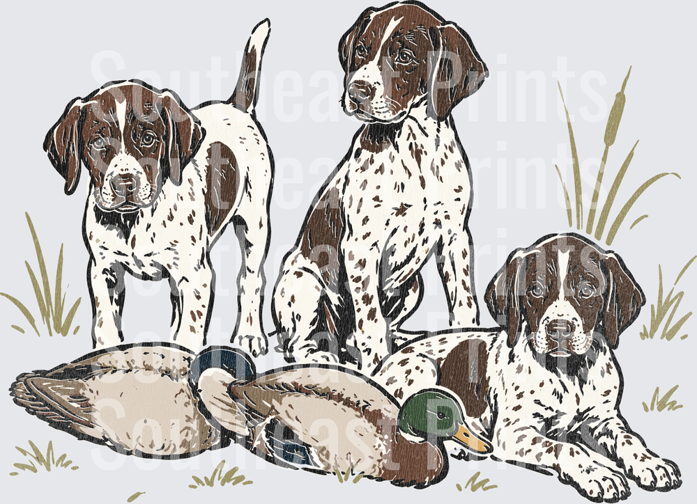 Three GSP Puppies Mallard Ducks