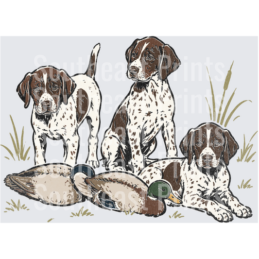 Three GSP Puppies Mallard Ducks