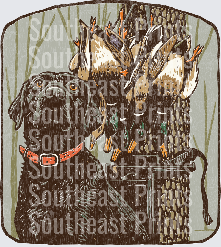 Black Lab Duck Hunt