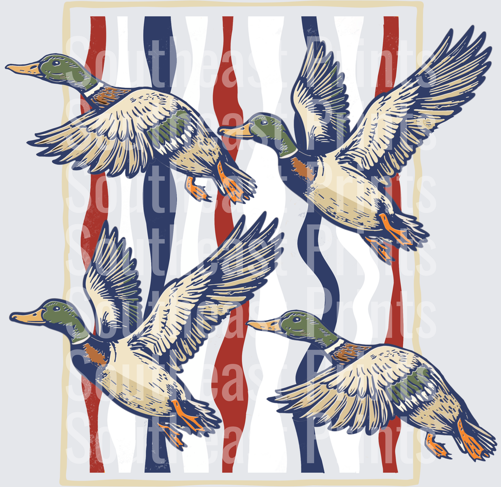 Mallard Ducks Flying