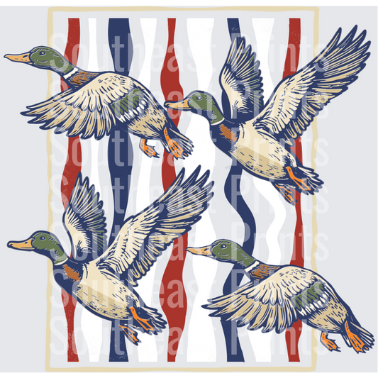 Mallard Ducks Flying