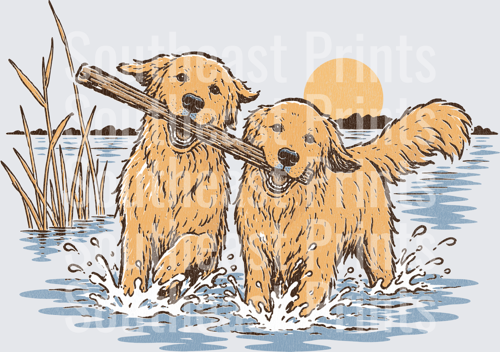 Two Golden Retrievers Sharing Stick in Water at Sunset