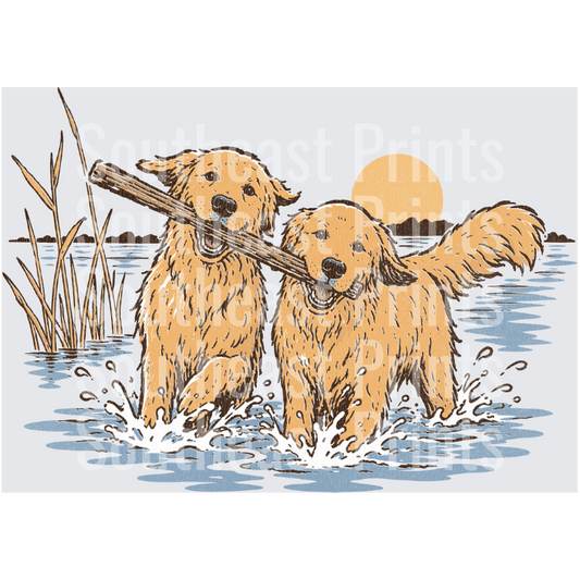 Two Golden Retrievers Sharing Stick in Water at Sunset