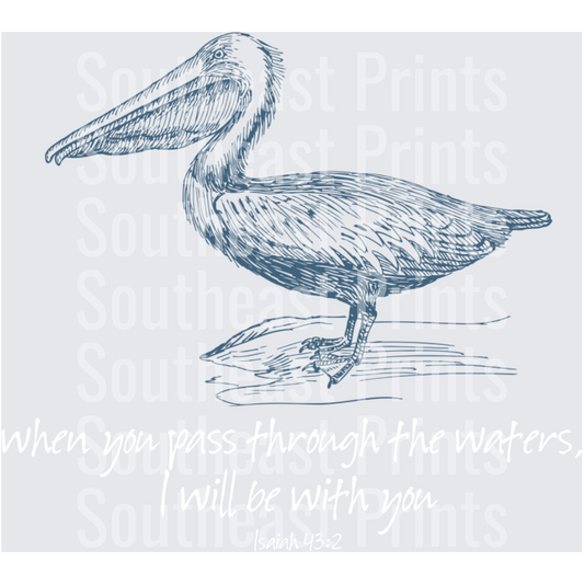 Pelican Sketch Art