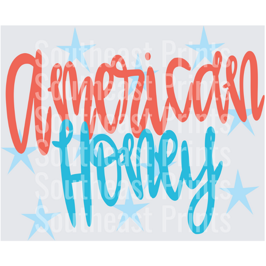 American Flag Typography