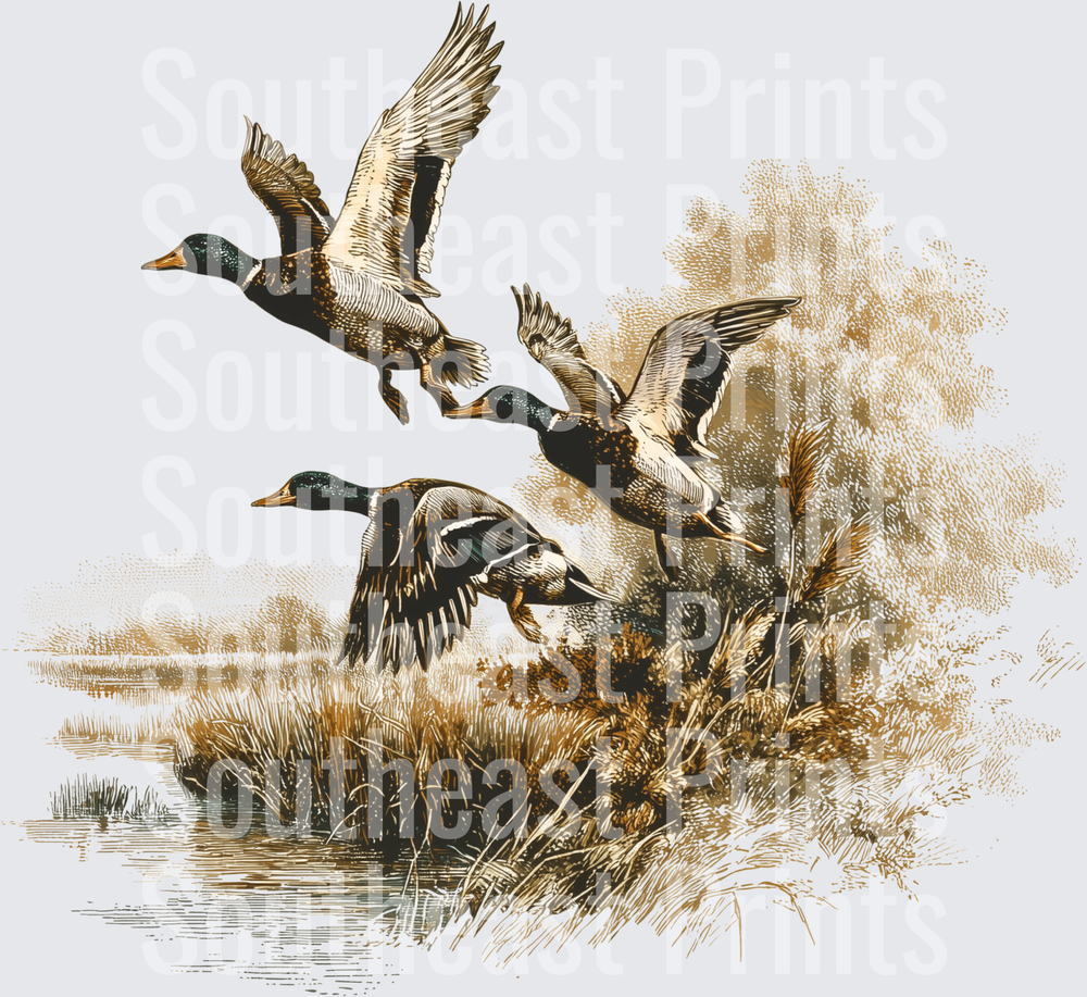 Flying Ducks Over Wetland Marsh