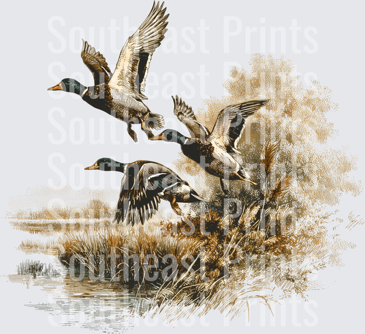 Flying Ducks Over Wetland Marsh