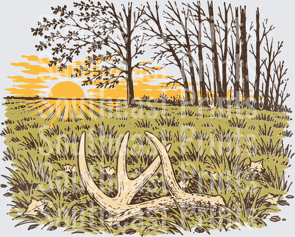 Shed Antlers Sunrise