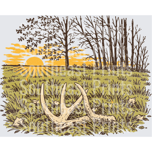 Shed Antlers Sunrise