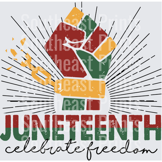 Juneteenth Celebrate Freedom