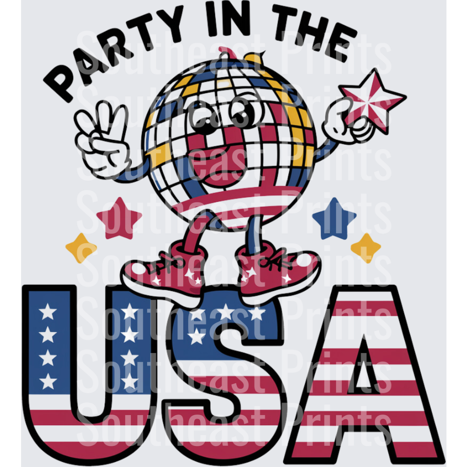 Party In USA