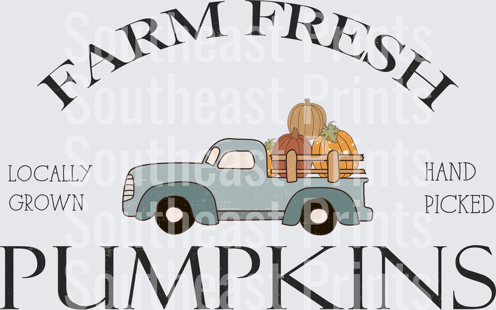Farm Fresh Pumpkins
