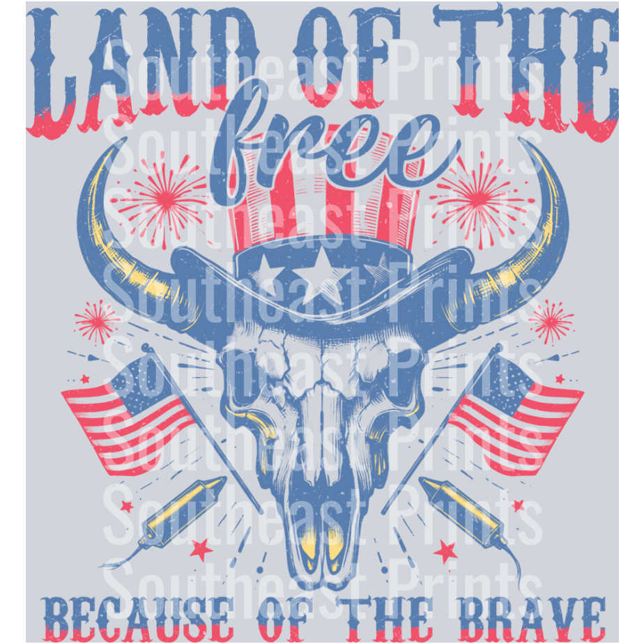 VPA005-Land-of-the-free