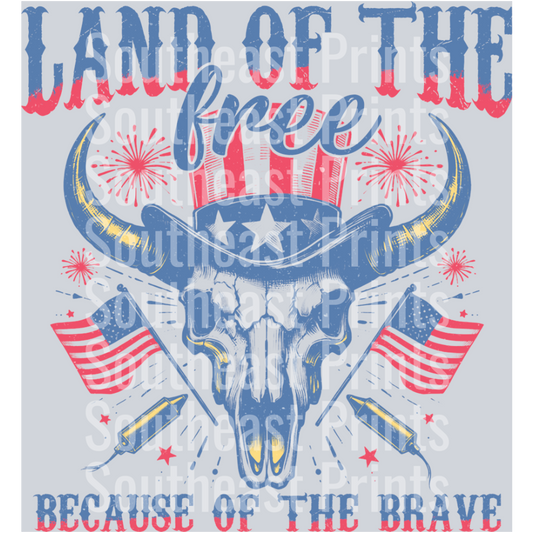 VPA005-Land-of-the-free