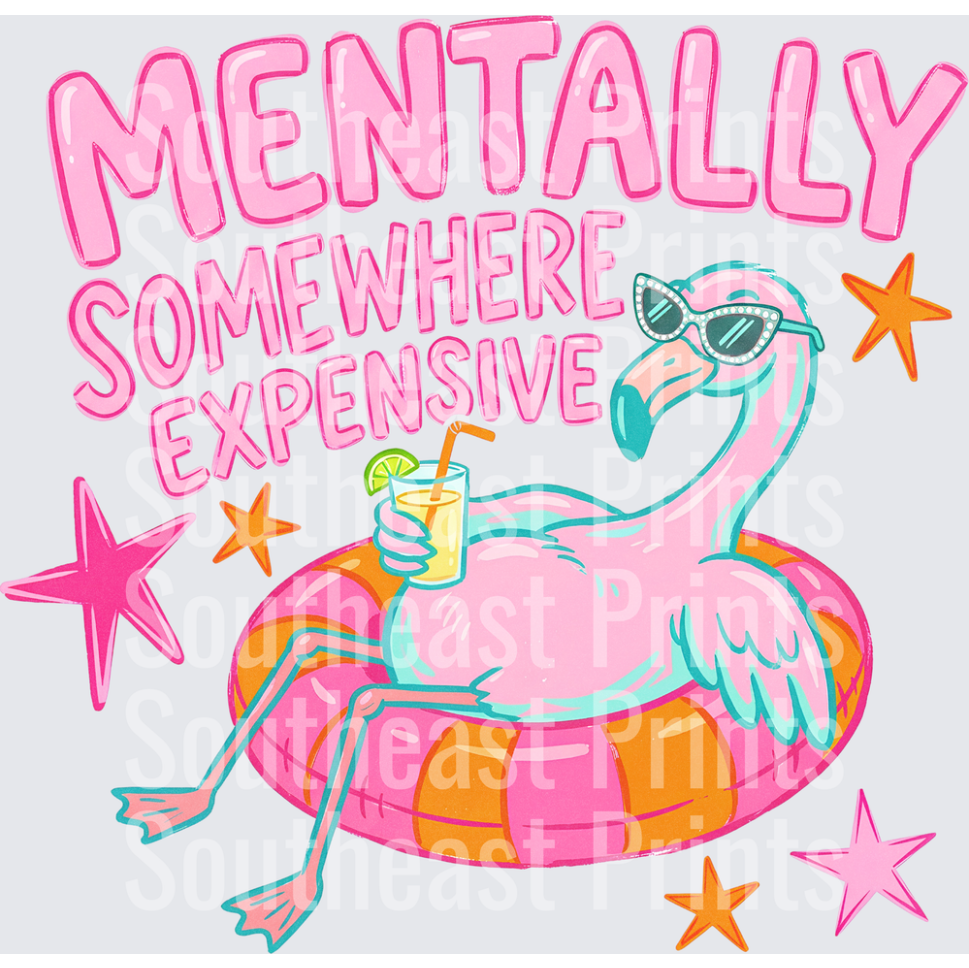 Mentally Somewhere Expensive Flamingo