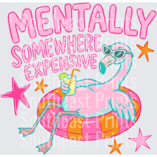 Mentally Somewhere Expensive Flamingo