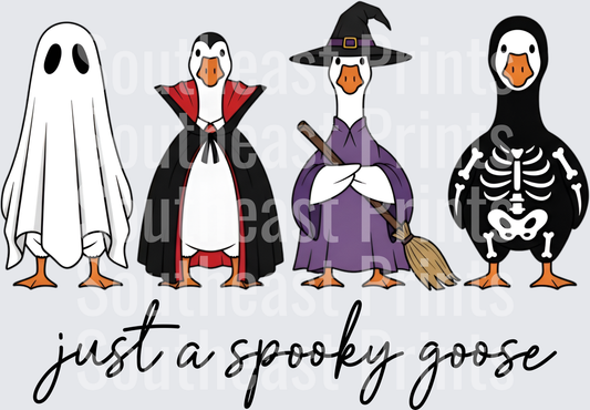 Just Spooky Goose