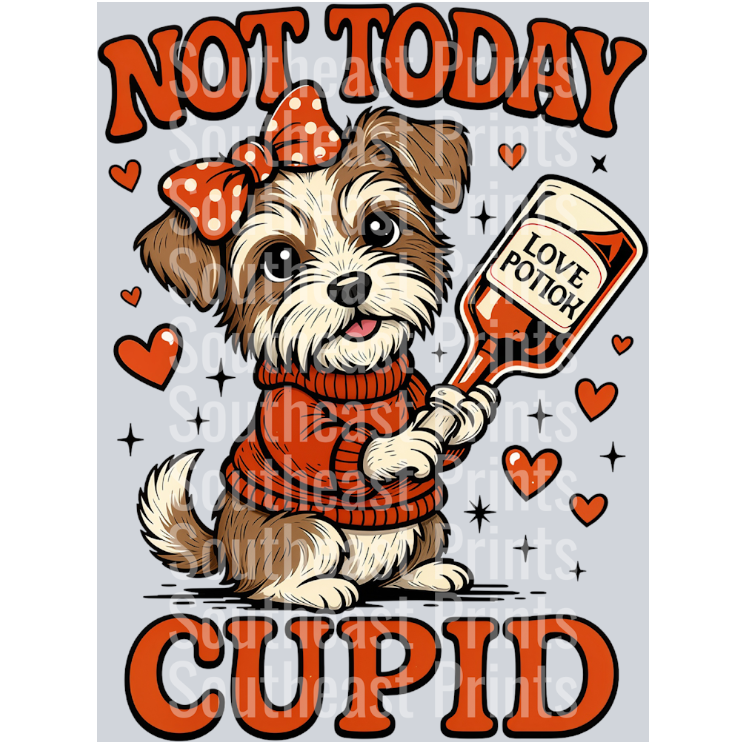 Not Today Dog Valentines