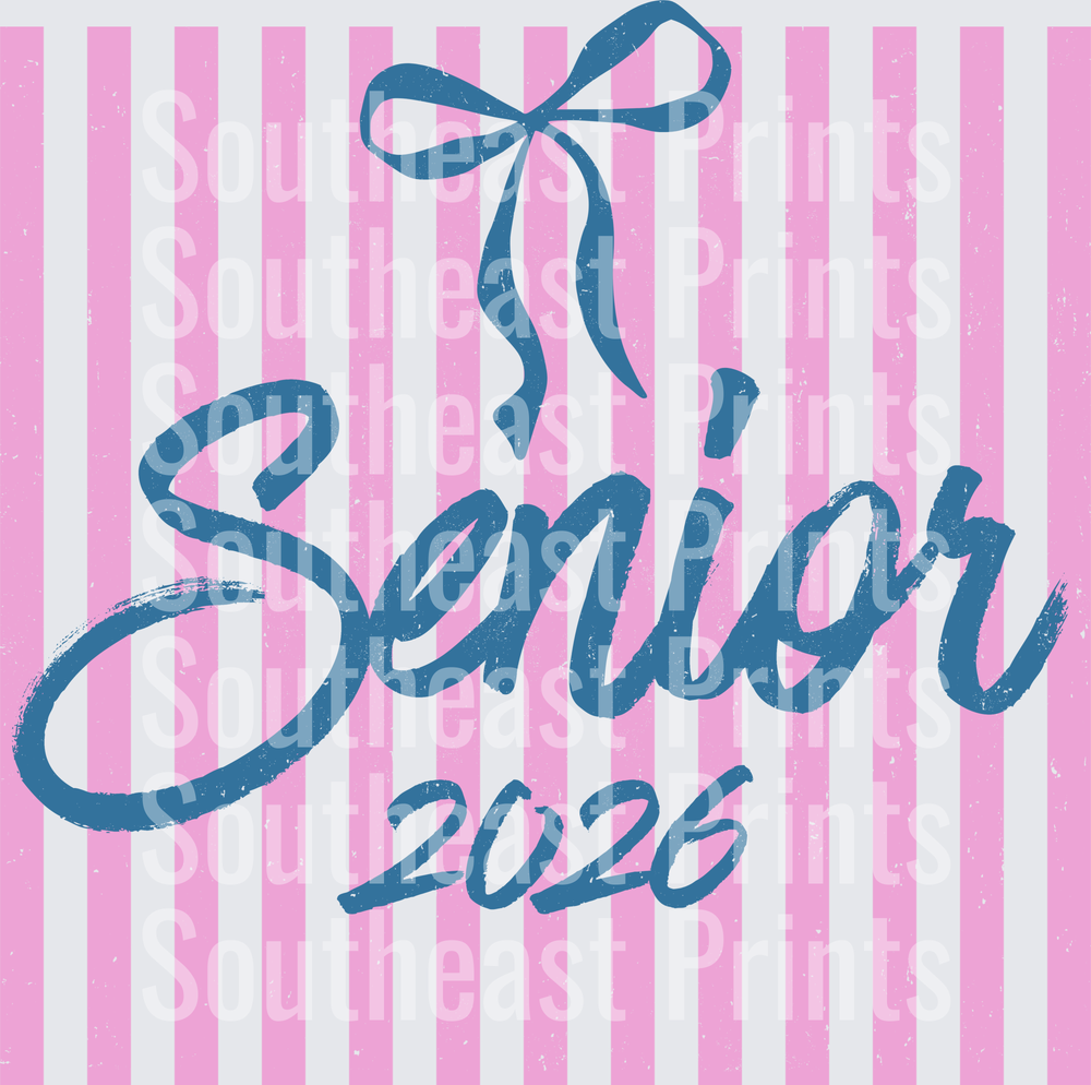 Senior 2026 Graduation Bow Pink and Blue Stripes