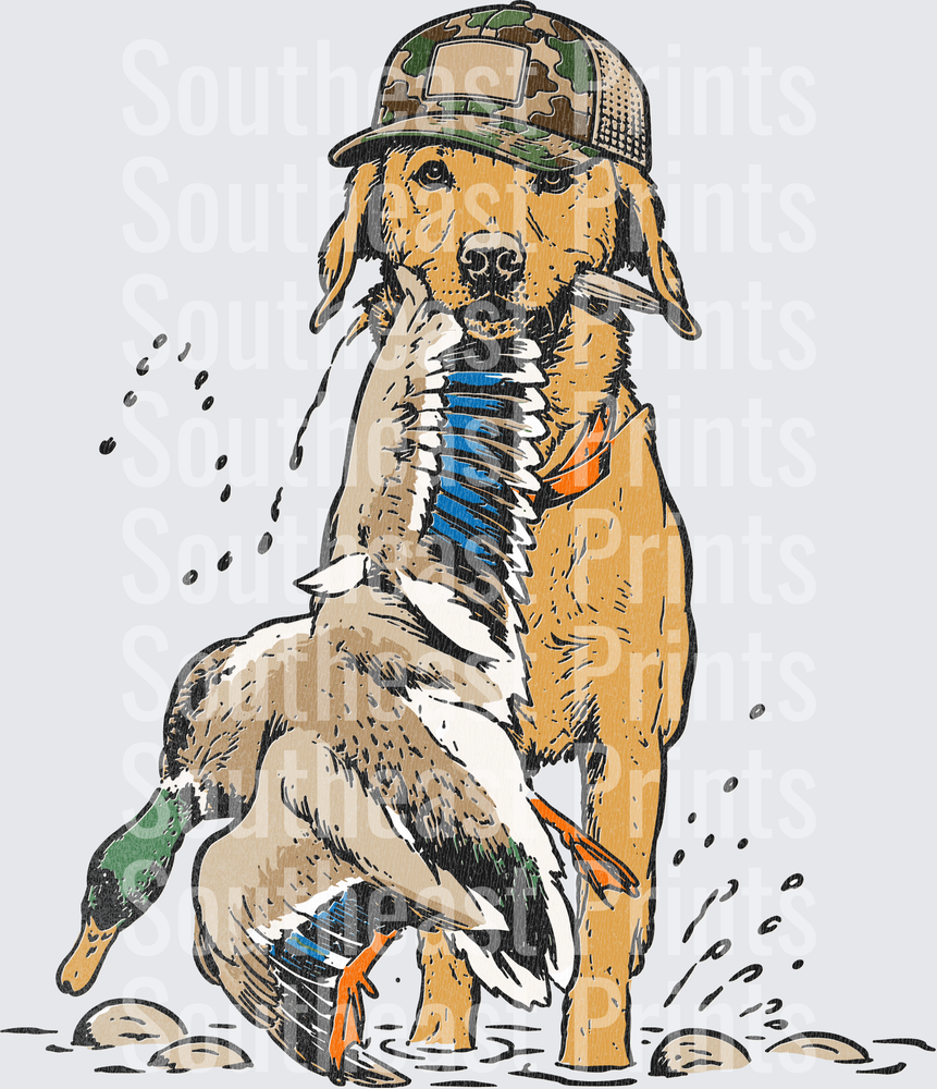 Yellow Lab Duck Retriever