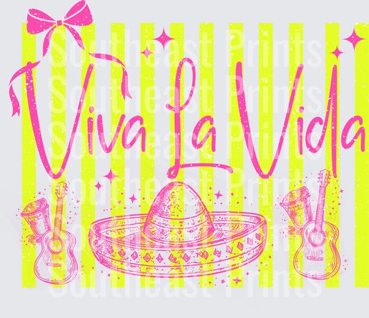Viva La Vida Pink Sombrero