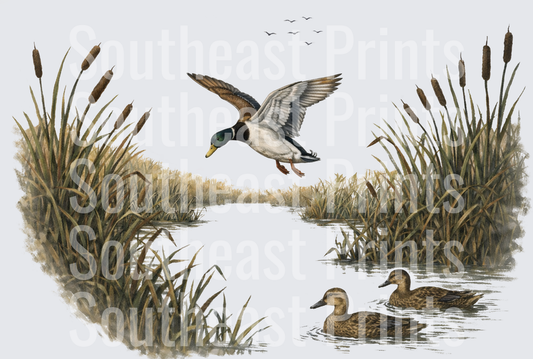 Mallard Ducks in Wetland Marsh