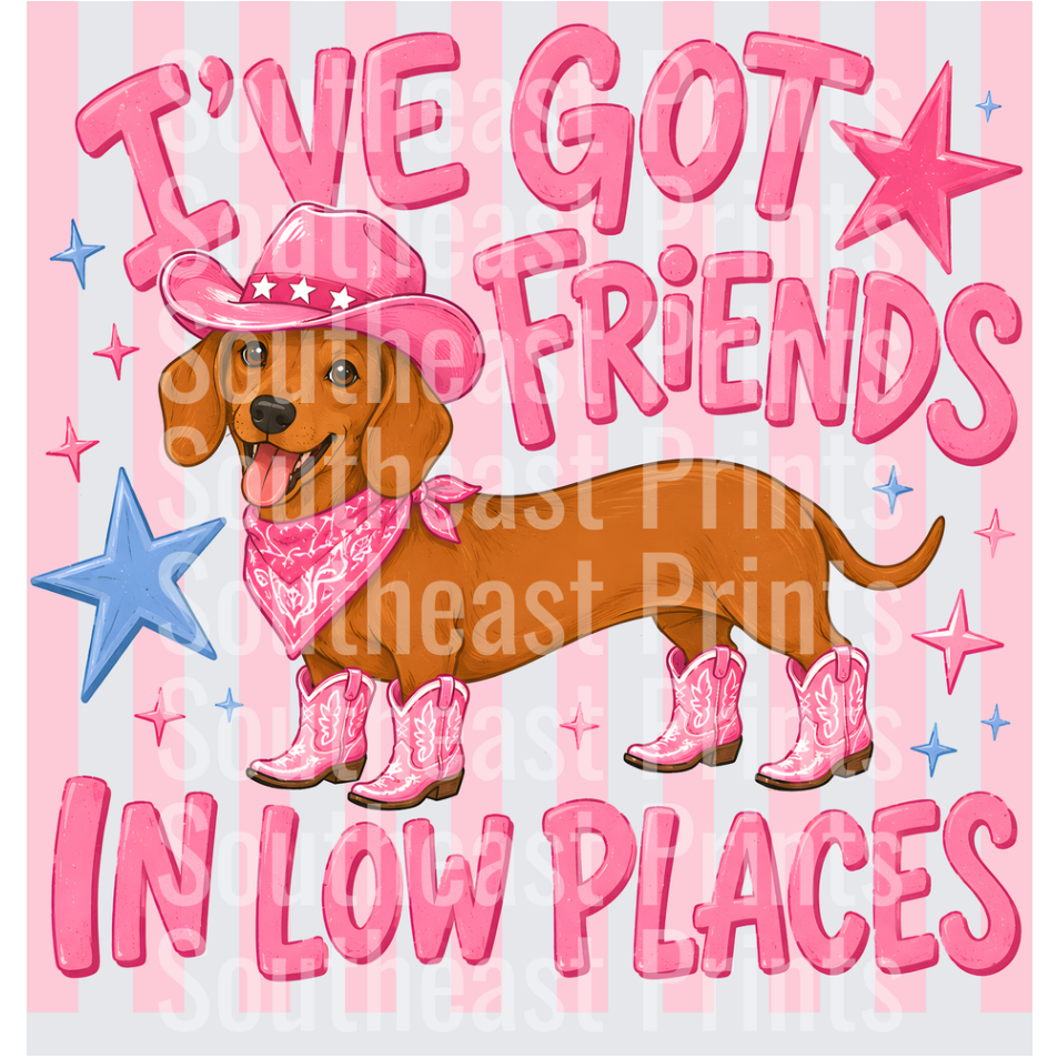 Cowboy Dachshund Friends