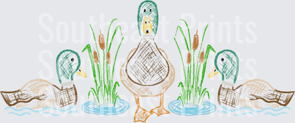 Mallard Ducks Trio