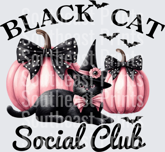 Black Cat Social Club