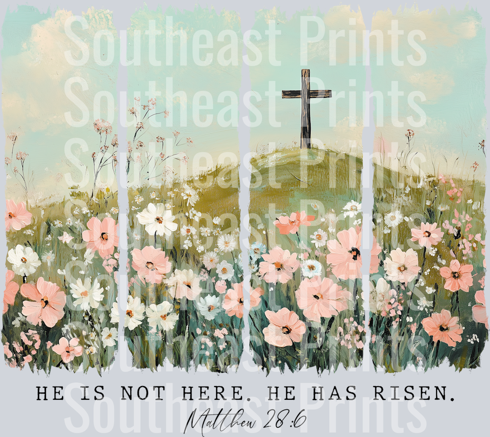 Matthew Verse